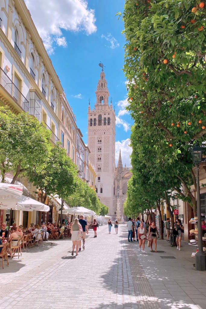 A lived-in Seville street with café terraces and orange trees, looking towards the Giralda